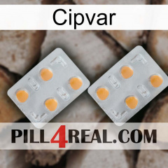 Cipvar 25